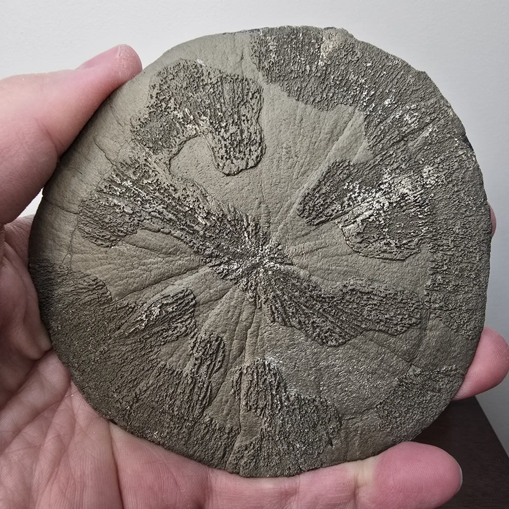 Pyrite Sun Crystal 4.4"